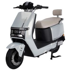 M-V303