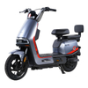 M-V310