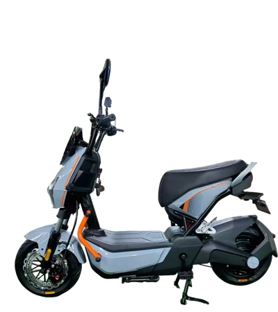 M-V313-2